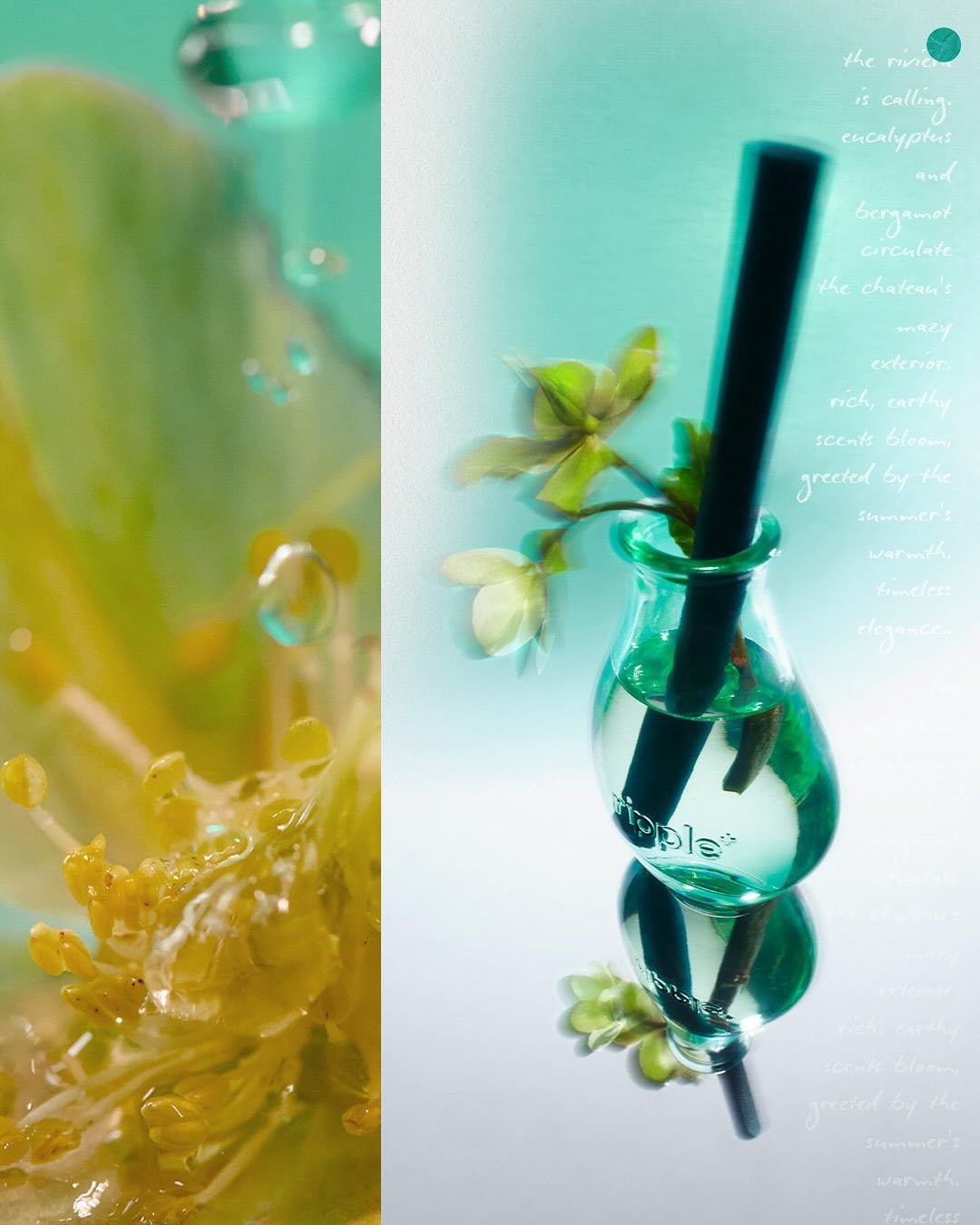 The Ripple Co \"Live now: the scent diffusers\"